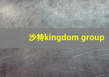 沙特kingdom group